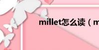 millet怎么讀(millet)