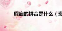 瑕疵的拼音是什么(瑕疵的拼音)