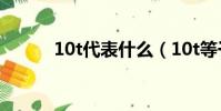 10t代表什么(10t等于多少kg)