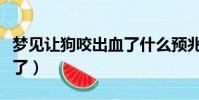 夢見讓狗咬出血了什么預兆(夢見讓狗咬出血了)