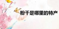 粉干是哪里的特產(粉干)