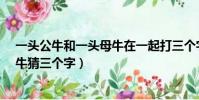 一頭公牛和一頭母牛在一起打三個字?(一頭公牛和一頭母牛猜三個字)