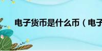 電子貨幣是什么幣(電子貨幣是什么)