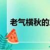 老氣橫秋的意思是啥（老氣橫秋的意思）