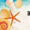笛卡爾積（笛卡爾）