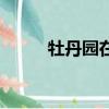牡丹園在哪里洛陽（牡丹園在哪）