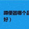 蹲便器哪個品牌好性價比高（蹲便器哪個品牌好）