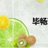 畢暢現任丈夫簡介（畢暢）