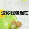 速秒錢包現在什么情況（速秒錢包水象分期）
