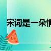 宋詞是一朵情花讀后感（宋詞是一朵情花）