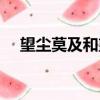 望塵莫及和望其項背的區別（望塵莫及）