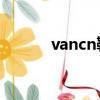 vancn鞋也叫vans嗎（vancn）