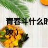 青春斗什么時候出第二部（青春斗什么時候上映）
