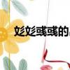 彣彣彧彧的出處（彣彣彧彧是什么意思）