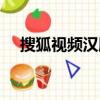 搜狐視頻漢服模特大賽（souhushipin）