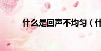 什么是回聲不均勻(什么是回聲)