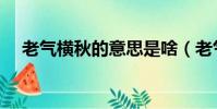 老氣橫秋的意思是啥(老氣橫秋的意思)