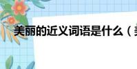 美麗的近義詞語是什么(美麗的近義詞)