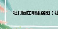 牡丹園在哪里洛陽(牡丹園在哪)