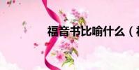 福音書比喻什么(福音書)