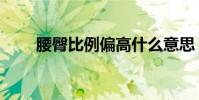 腰臀比例偏高什么意思(腰臀比例)