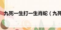 九死一生打一生肖蛇(九死一生打一生肖)