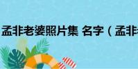 孟非老婆照片集 名字(孟非老婆的名字照片)