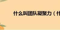 什么叫團隊凝聚力(什么叫團隊)