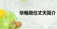 畢暢現任丈夫簡介(畢暢)