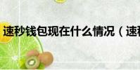 速秒錢包現在什么情況(速秒錢包水象分期)