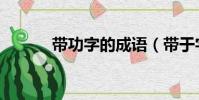 帶功字的成語(帶于字的成語)