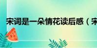 宋詞是一朵情花讀后感(宋詞是一朵情花)