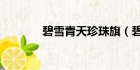 碧雪青天珍珠旗(碧雪情天)