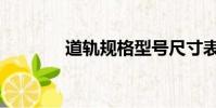 道軌規格型號尺寸表(道軌)