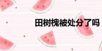 田樹槐被處分了嗎(田樹)