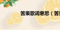 苦果歌詞意思(苦果歌詞)