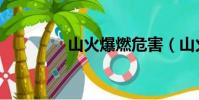 山火爆燃危害(山火爆燃)