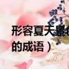 形容夏天景色的成語有哪些?（形容夏天景色的成語）