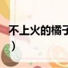 不上火的橘子有哪些呢（不上火的橘子有哪些）