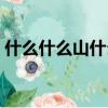 什么什么山什么四字詞語（什么什么山什么）