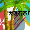 大理石茶幾電視柜套裝（大理石茶幾）