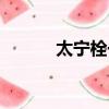 太寧栓一天用幾次最好（太寧）