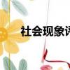 社會現象評論500字（社會現象評論）