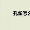 孔雀怎么畫高難度（孔雀怎么畫）