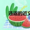 違返的近義詞是什么（違反的近義詞）