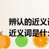 辨認的近義詞是什么 標準答案一個（辨認的近義詞是什么呢）