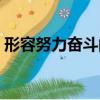 形容努力奮斗的網名（表示努力奮斗的網名）