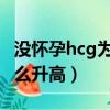 沒懷孕hcg為什么升高 紊亂（沒懷孕hcg為什么升高）