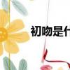 初吻是什么樣子（初吻什么感覺）