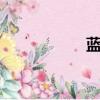 藍蝶5模擬器（藍蝶）